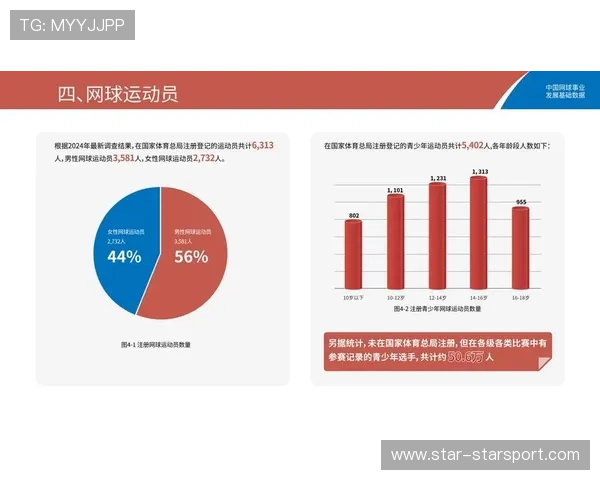 网球比赛数据驱动训练实践案例研究(426 ) 网球比赛数据驱动训练实践案例研究(426 )